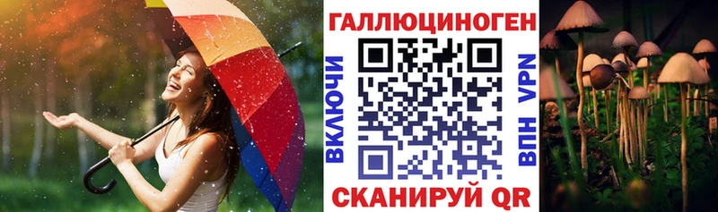 сколько стоит  МЕГА ССЫЛКА  Галлюциногенные грибы ЛСД  Чебоксары 